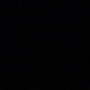 Meet your Posher, Cheyenne